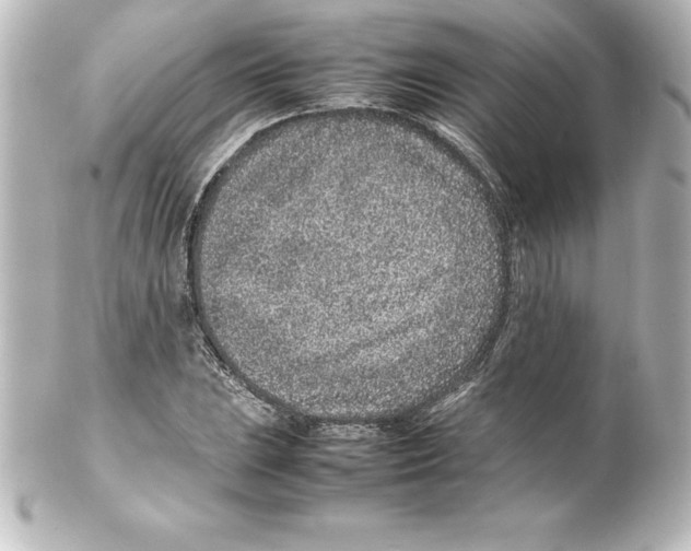 X0000100191023200806271613