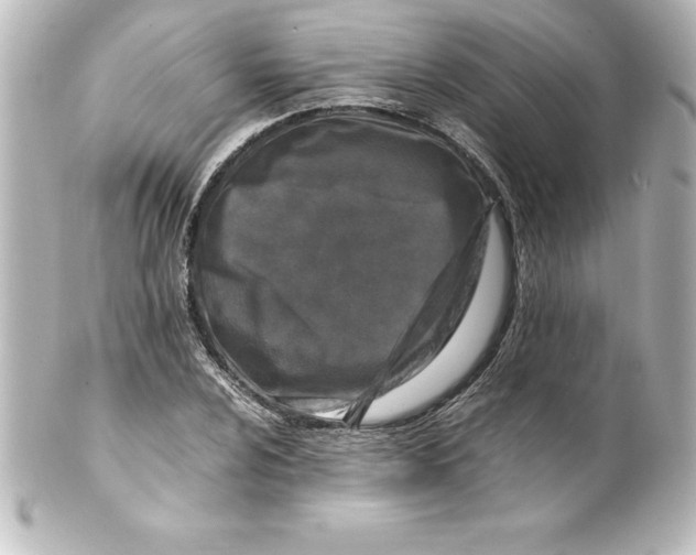 X0000100191024200806271614