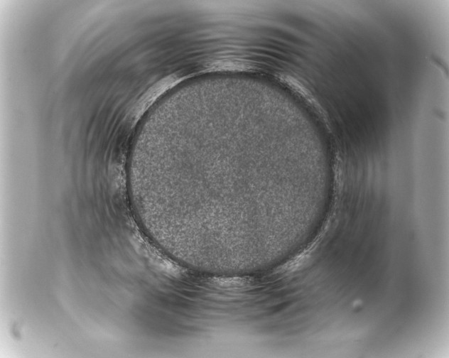 X0000100191025200806271614