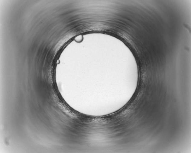 X0000100191026200806271614