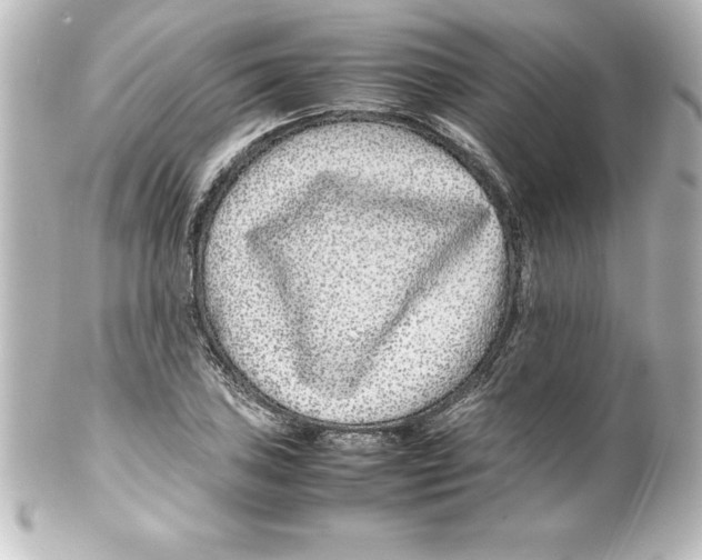 X0000100191027200806271614