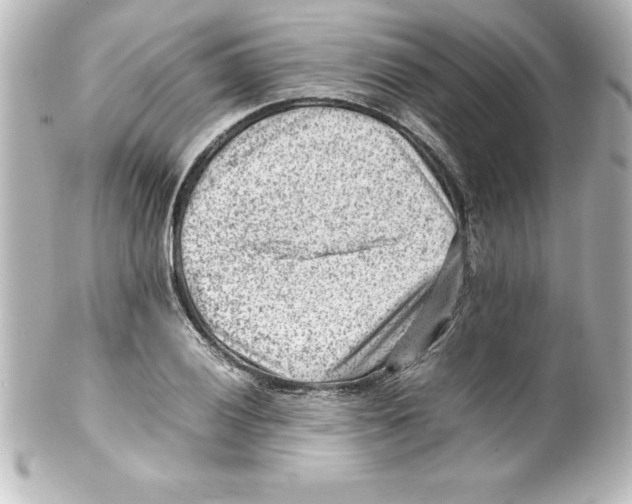 X0000100191028200806271614