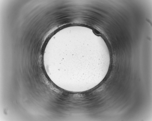 X0000100191029200806271614