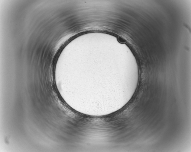 X0000100191030200806271614