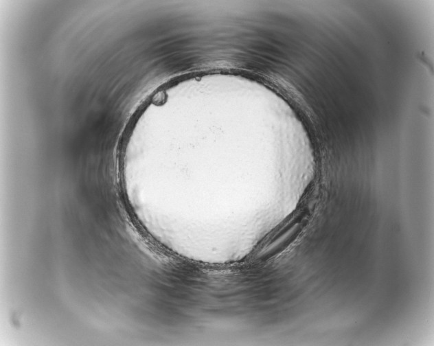 X0000100191031200806271614