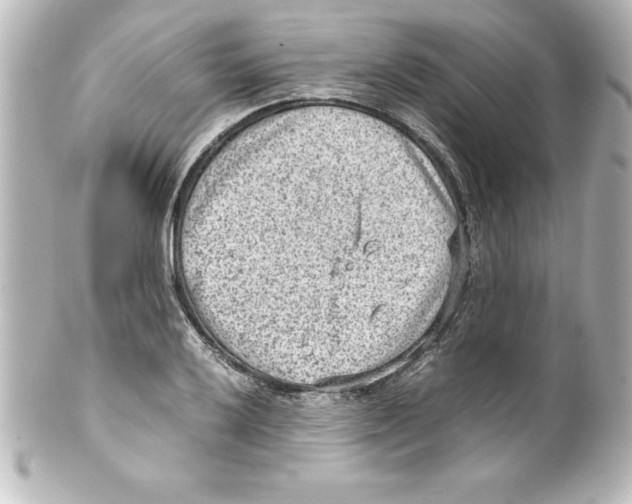 X0000100191032200806271614