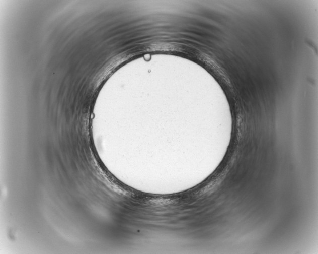 X0000100191033200806271614