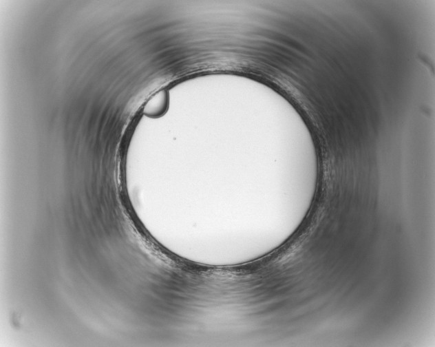 X0000100191034200806271614