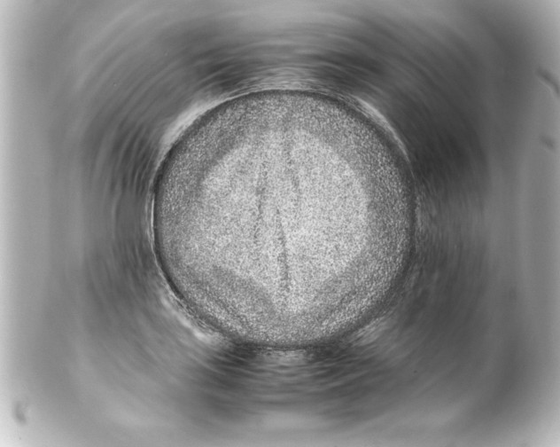 X0000100191035200806271614