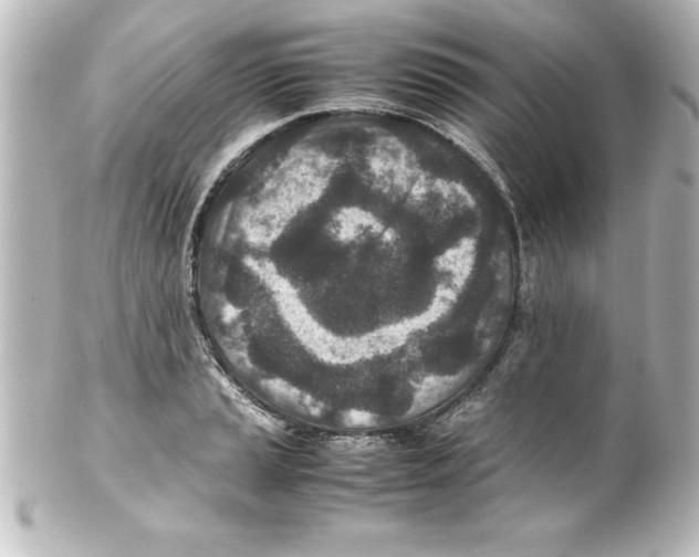 X0000100191037200806271614