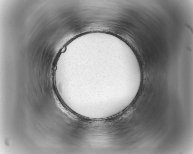 X0000100191038200806271614