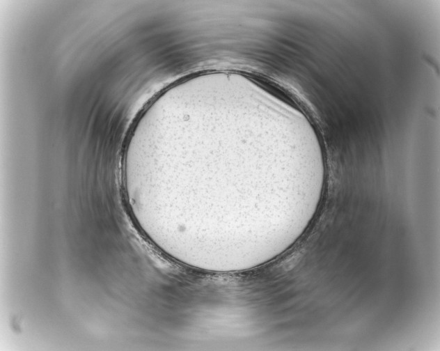 X0000100191040200806271614