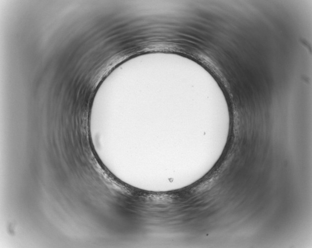 X0000100191041200806271614