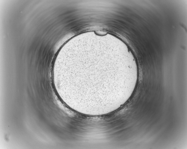 X0000100191042200806271614