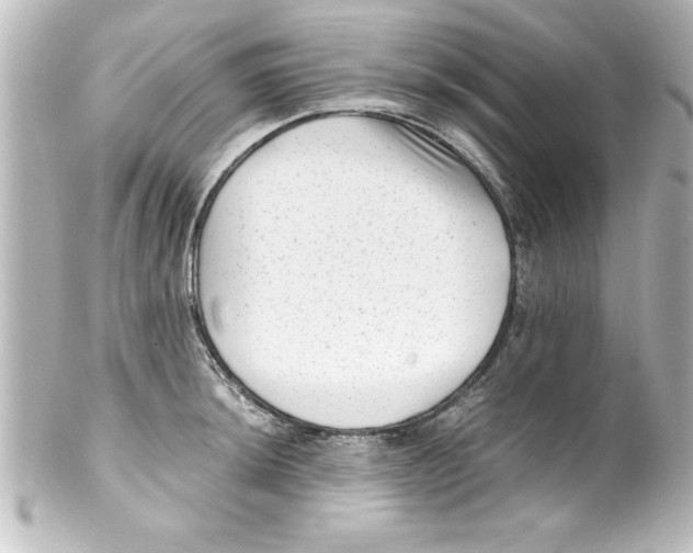 X0000100191044200806271614