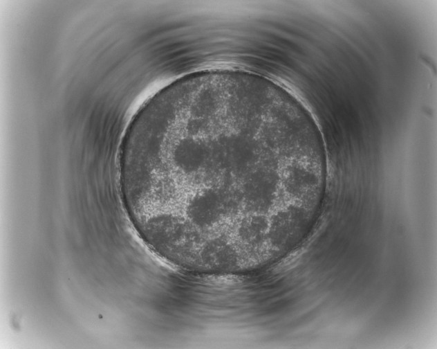 X0000100191045200806271614