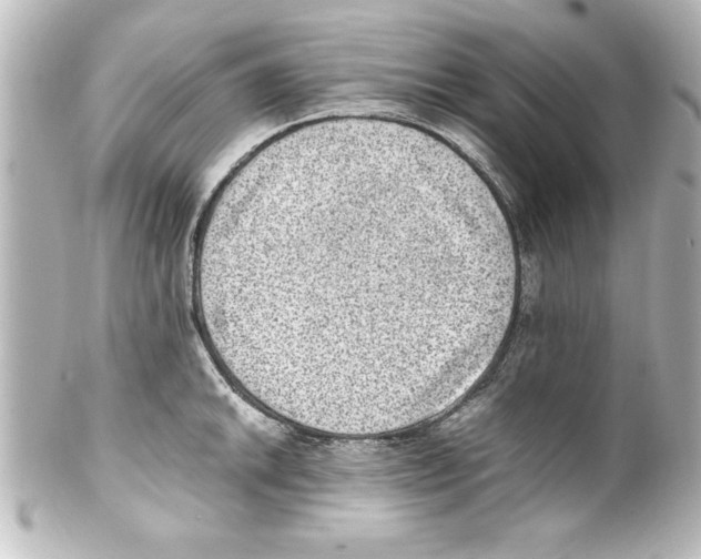 X0000100191046200806271614