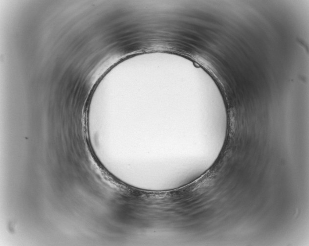 X0000100191047200806271614