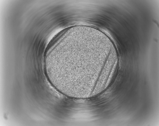 X0000100191048200806271614