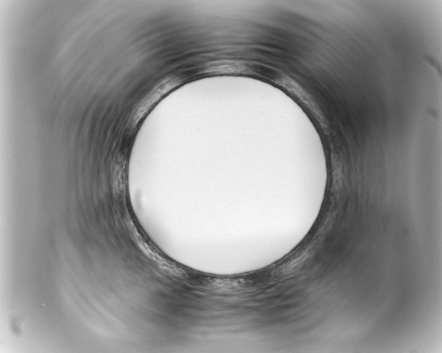 X0000100191049200806271614