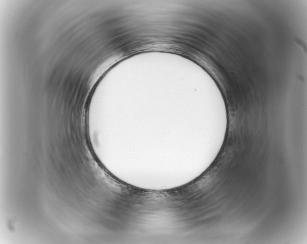 X0000100191050200806271614