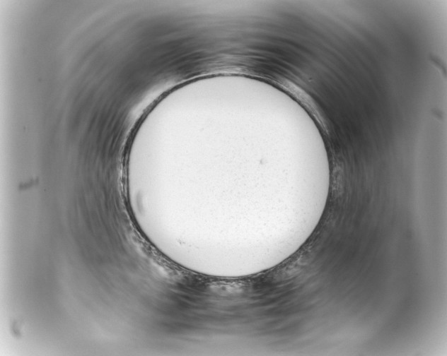 X0000100191051200806271614