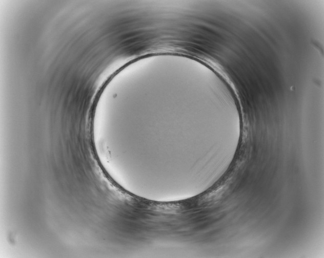 X0000100191053200806271614