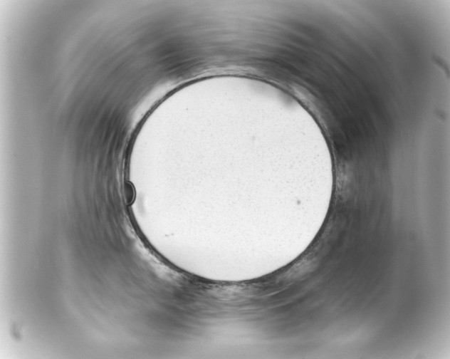 X0000100191054200806271614
