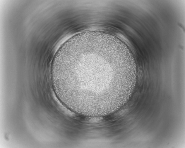 X0000100191055200806271614