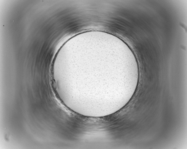 X0000100191056200806271614