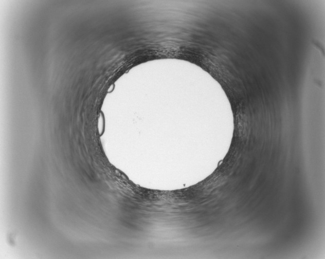X0000100191057200806271613