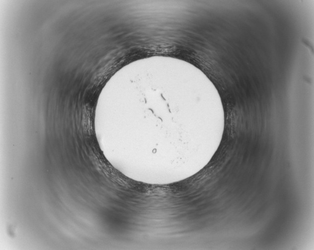 X0000100191058200806271613