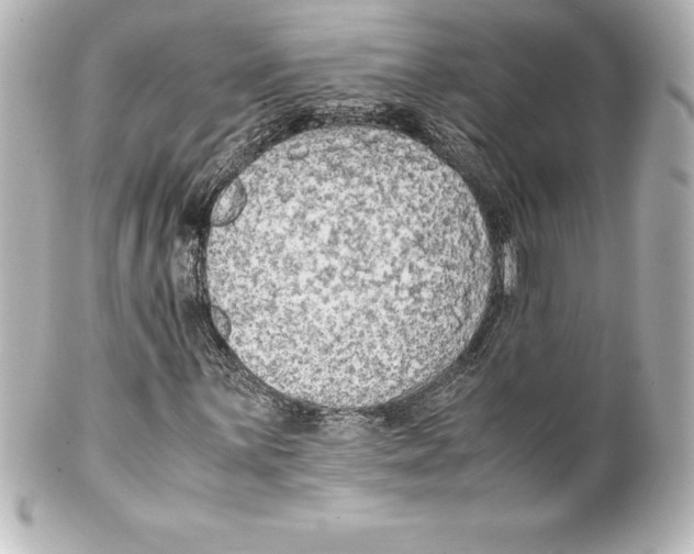 X0000100191059200806271613