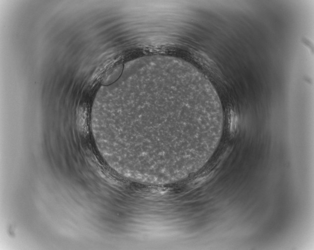 X0000100191060200806271613
