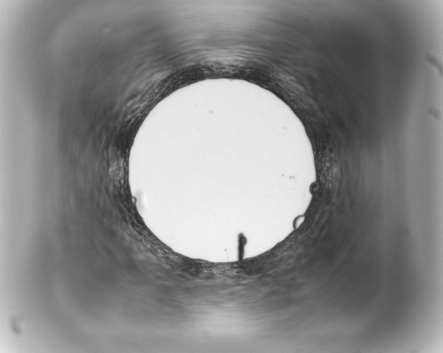 X0000100191061200806271613