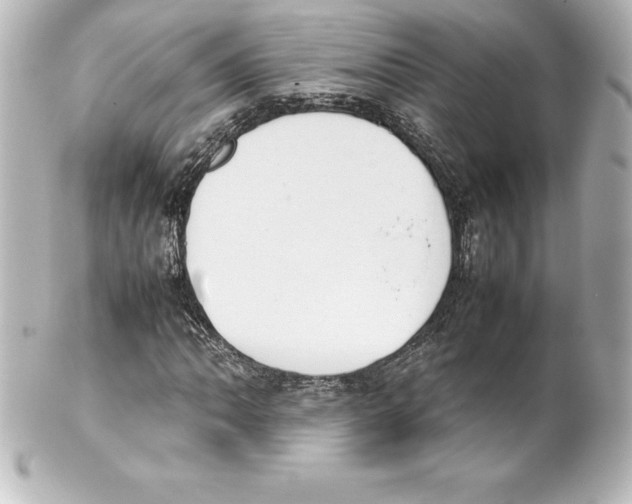 X0000100191062200806271613