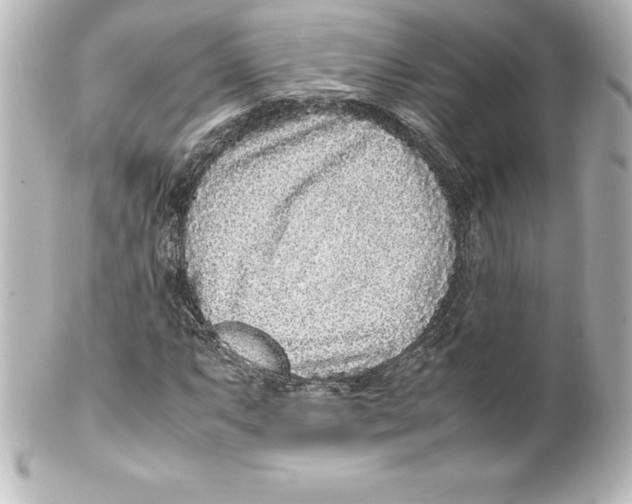 X0000100191063200806271613