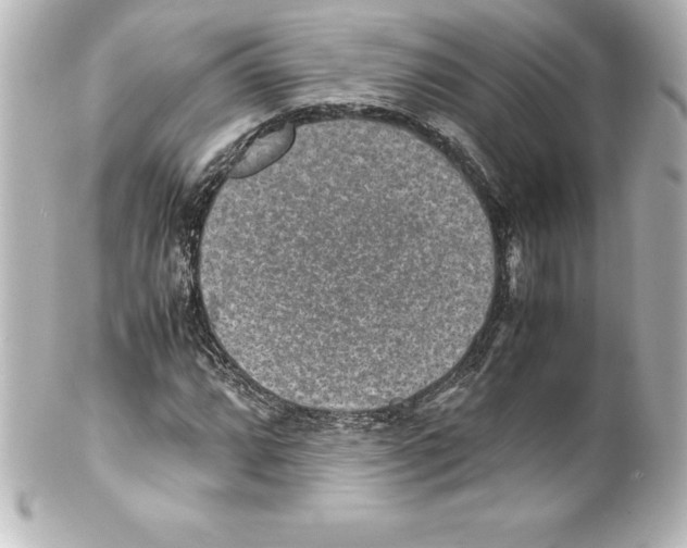 X0000100191064200806271613