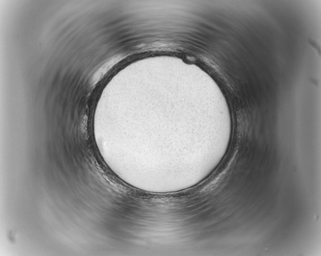 X0000100191066200806271613