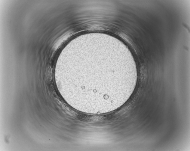 X0000100191067200806271613