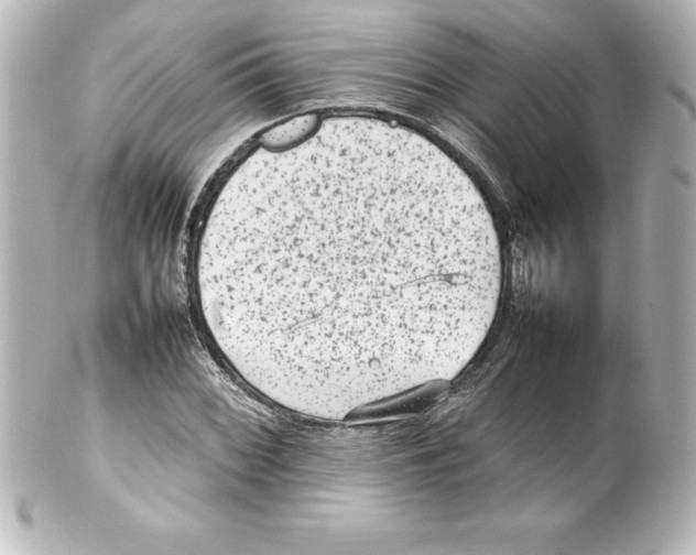 X0000100191068200806271613