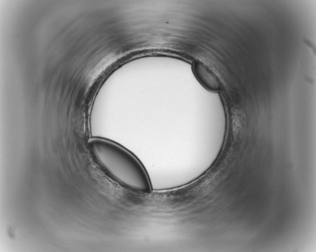 X0000100191069200806271613