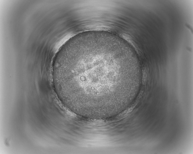 X0000100191071200806271613