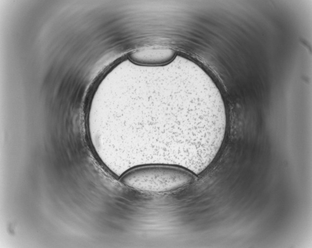 X0000100191072200806271613