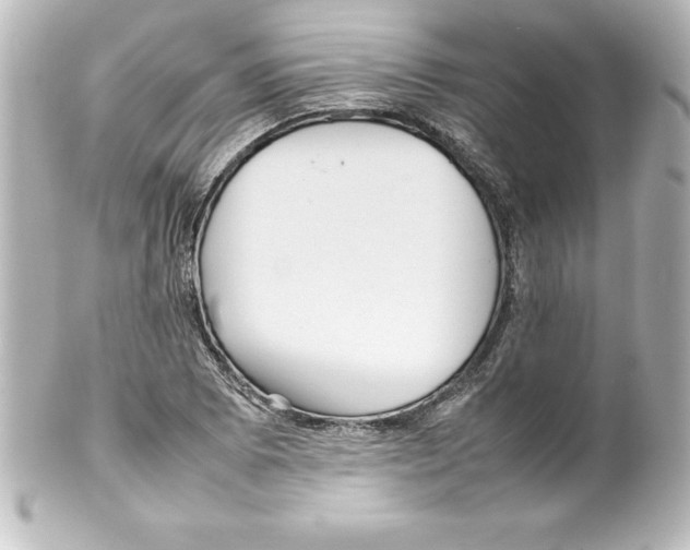 X0000100191073200806271613