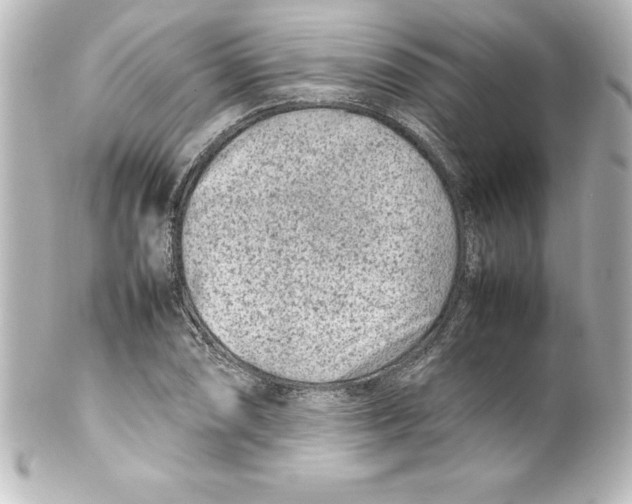 X0000100191074200806271613