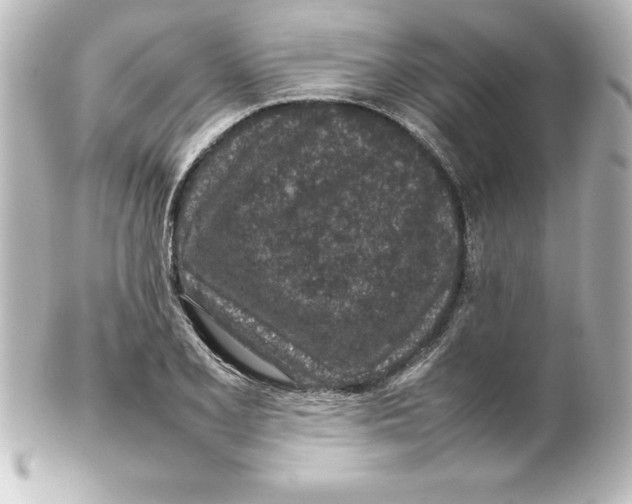 X0000100191077200806271613