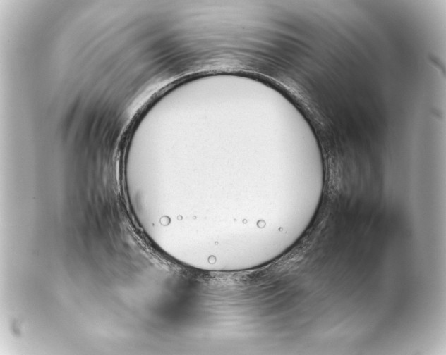 X0000100191078200806271613