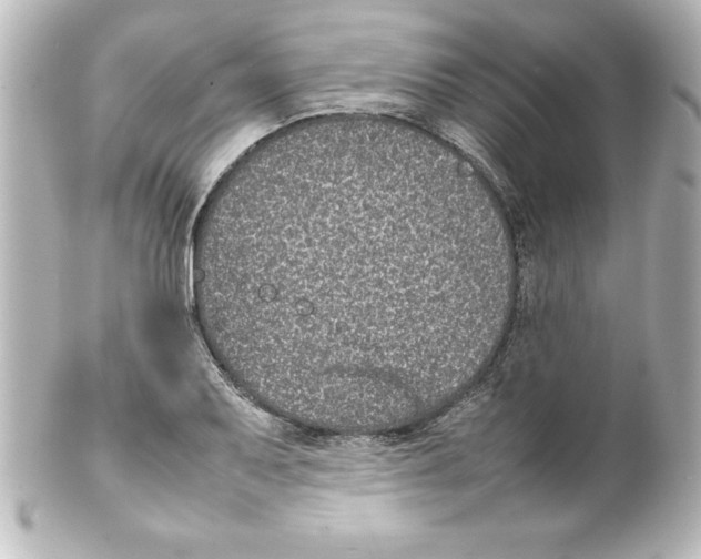X0000100191079200806271613