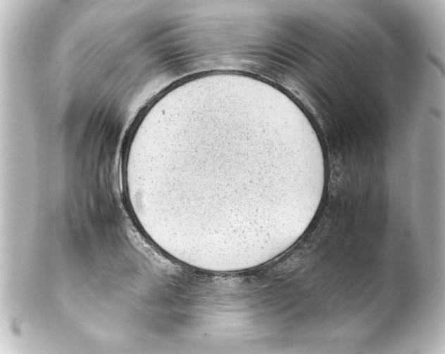 X0000100191080200806271613